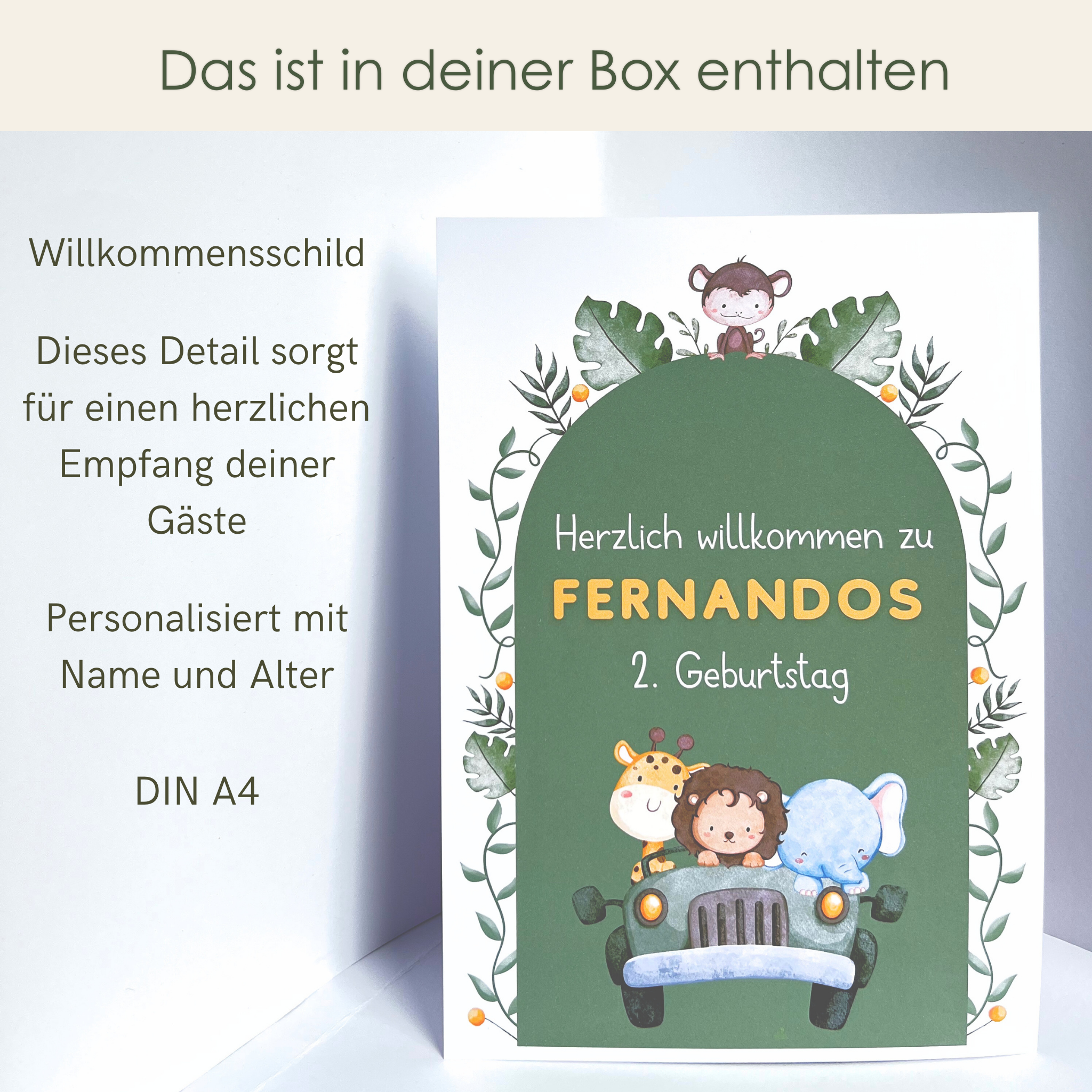 Premium Dekobox Safari