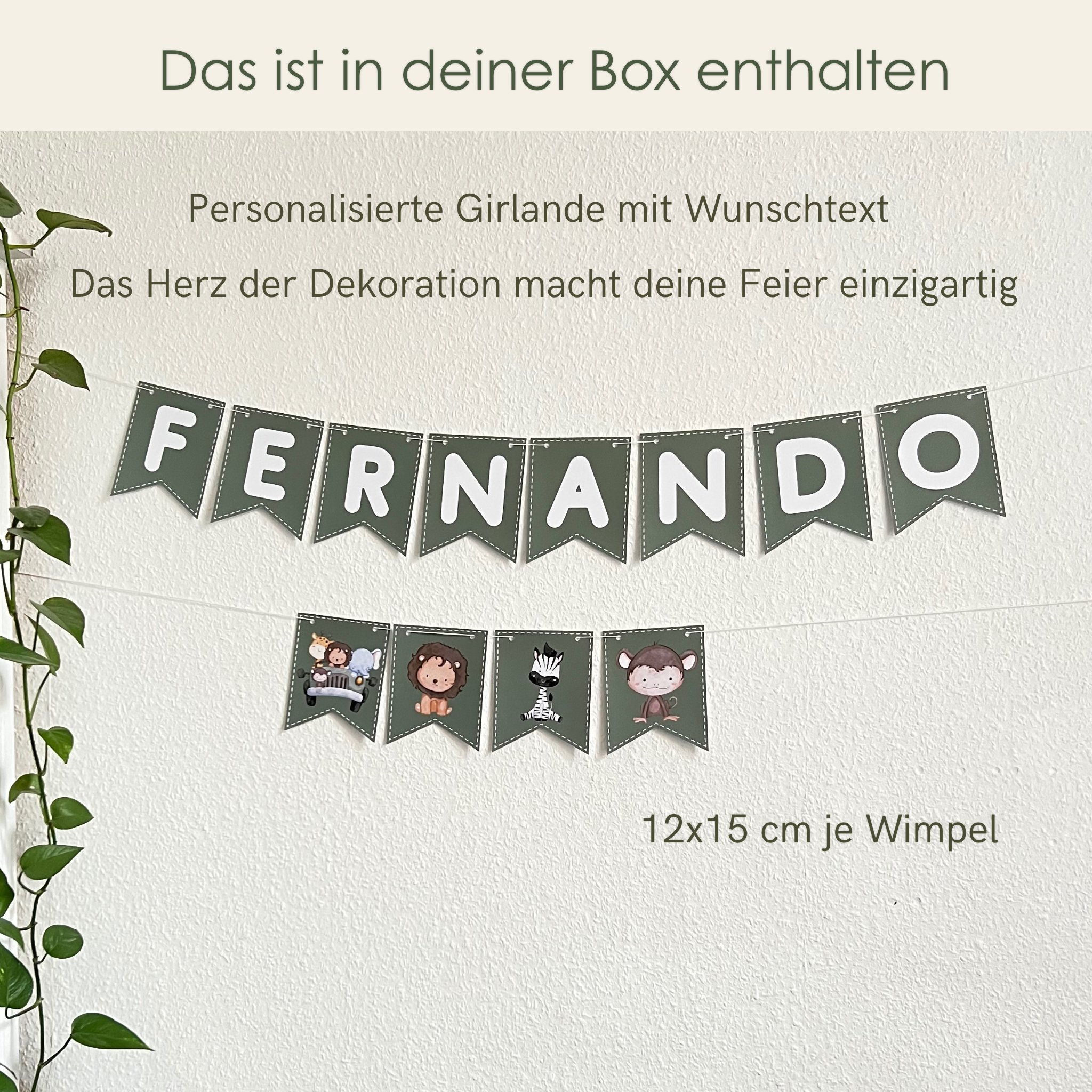 Premium Dekobox Safari