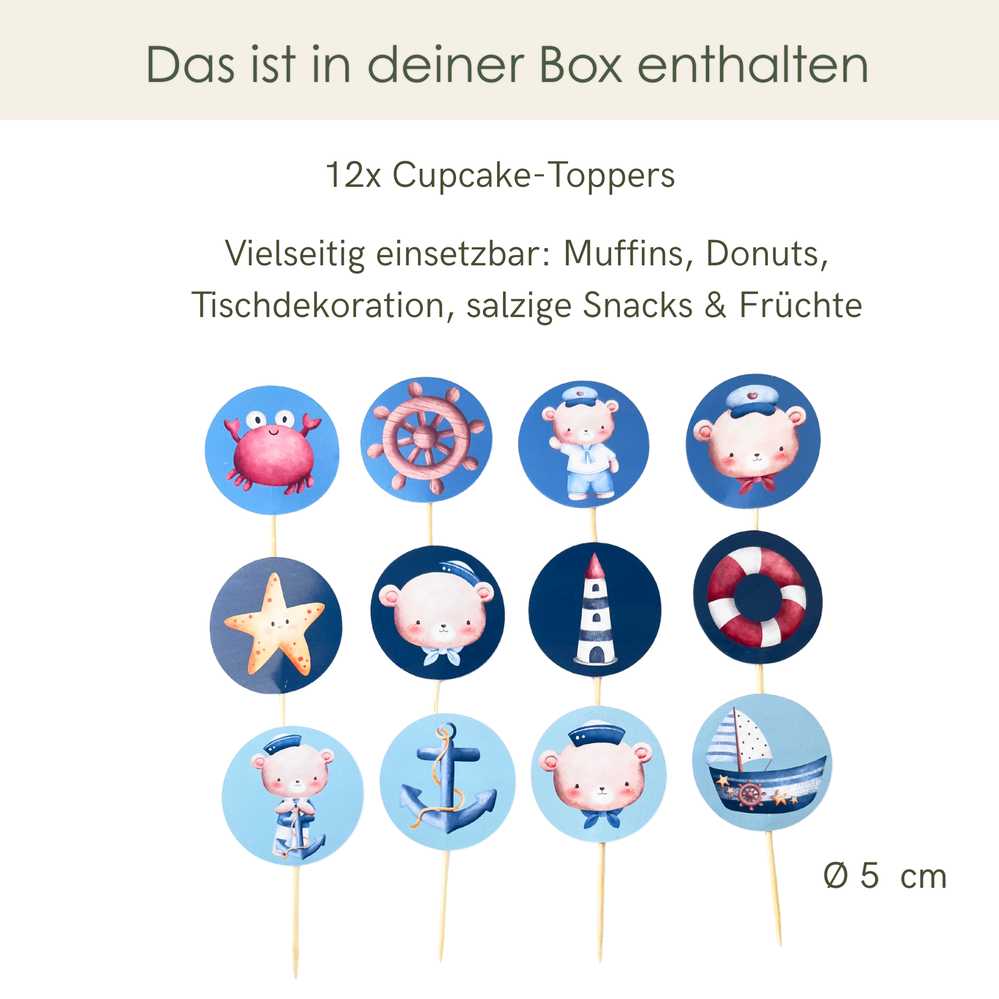 Premium Decorative Box Sea Bear